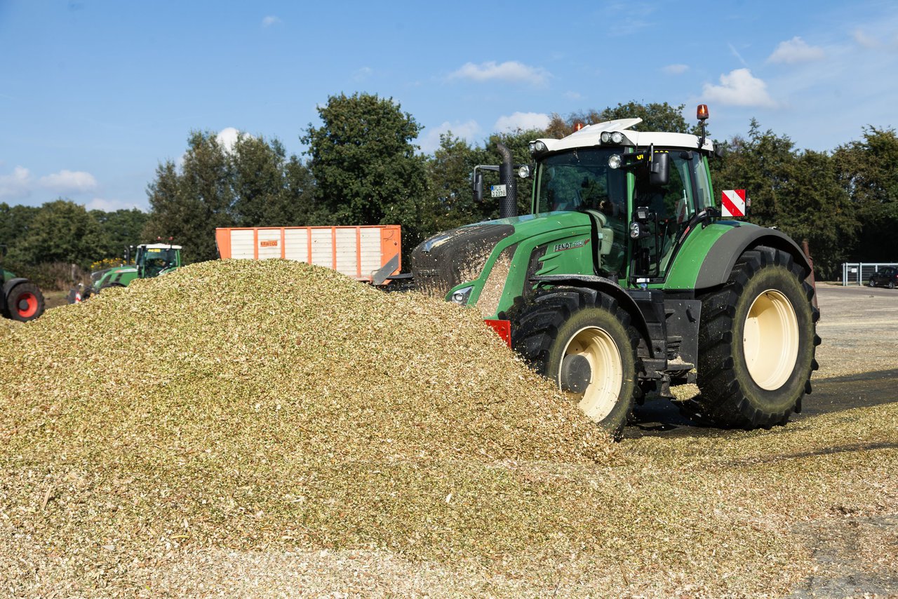 Bild 124 - Maisernte